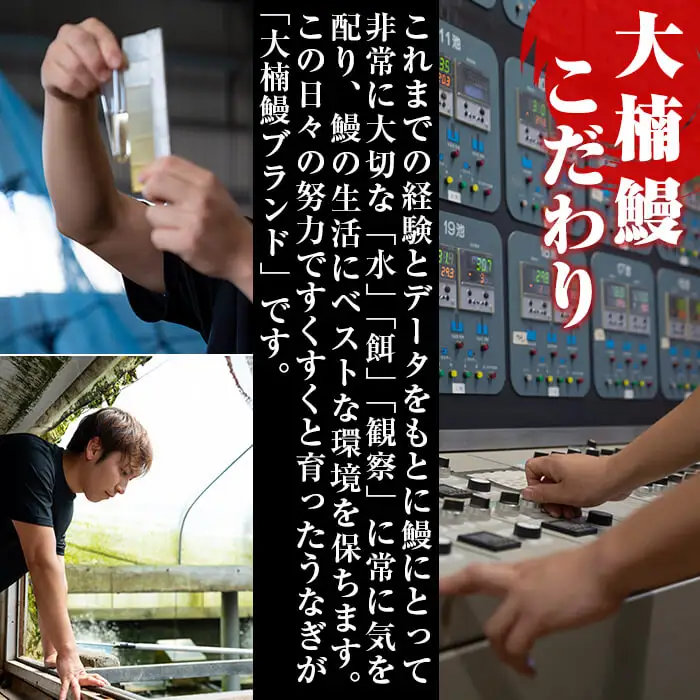 大楠＜中＞ うなぎ 蒲焼 4尾 セット 計520g(130g×4) b5-171