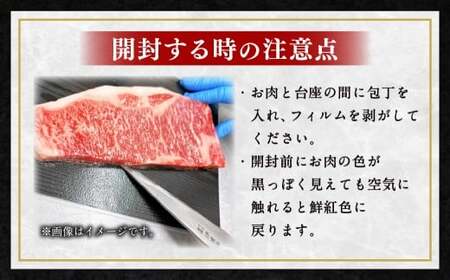 博多和牛 サーロイン ステーキ 250g×2枚 計500g 牛肉 和牛 お肉 ステーキ 福岡県 遠賀町