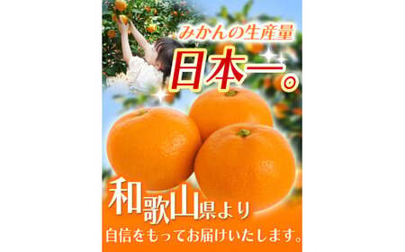 【2026年10月発送予約分】＼光センサー選別／ 【農家直送】【家庭用】こだわりの有田みかん 2kg 先行予約 有機質肥料100% サイズ混合 【10月発送】みかん ミカン 有田みかん 温州みかん 柑橘 有田 和歌山 ※北海道・沖縄・離島配送不可/みかん ミカン 有田みかん 温州みかん 柑橘 有田 和歌山 産地直送【nuk004-c-2-octH】