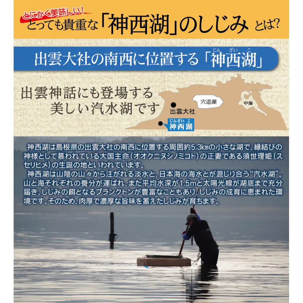 神西湖産 冷凍 大和 しじみ　約1.2kg（180ｇ×7P） | しじみ