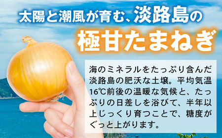 【先行予約】淡路島 新玉ねぎ 3kg 訳あり サイズ不揃い 簡易箱でお届け / 新玉ねぎ