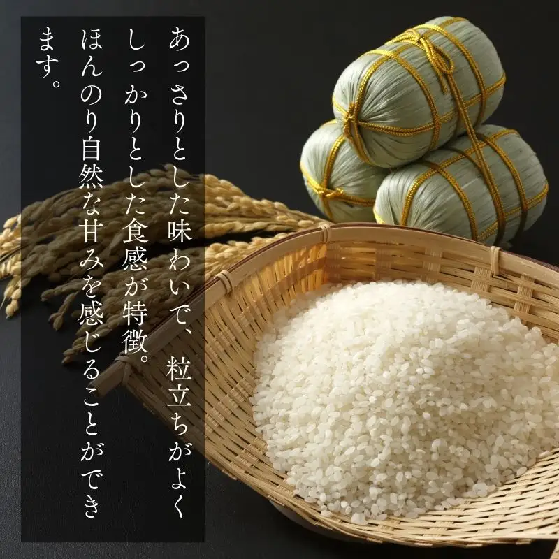 【令和8年産】青森ブランド米 まっしぐら5kg 精米 青森ブランド米 白米 ごはん お米