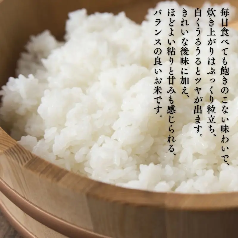 【令和8年産米】まっしぐら 玄米 5kg [fu-0024-001]