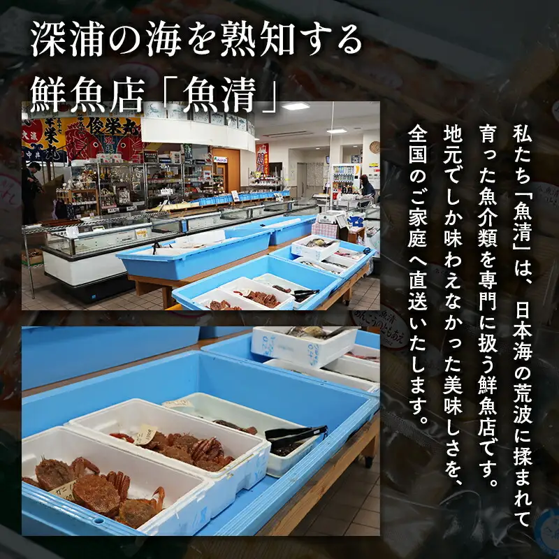 【北国の郷土料理】銀鮭飯寿司3パックセット（150g×3）[fu-0025-002]
