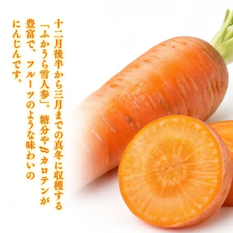 ふかうら 人参 ジュース 195g 60本  [fu-0009-002]