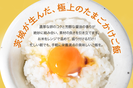 【数量限定】おみたまごかけご飯セット(4食セット3ヶ月定期便) お米 卵 醤油 セット 定期便 93-D
