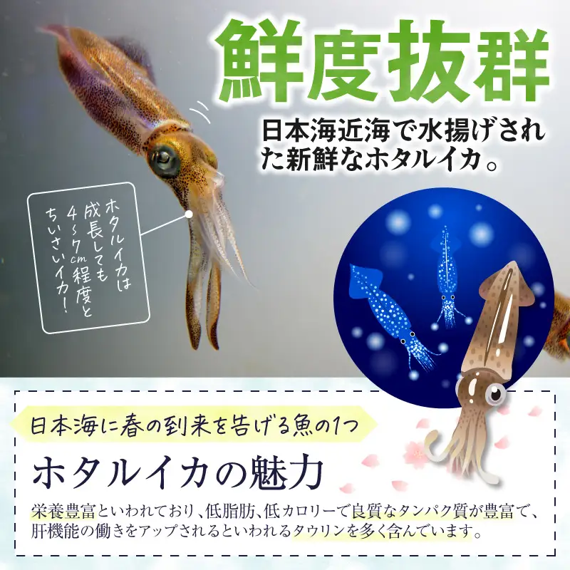 ホタルイカの沖漬け 10パック計約1.8kg