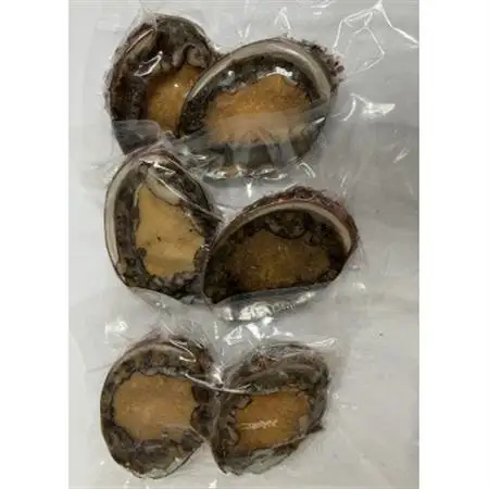 三陸小本浜産冷凍天然あわび　600g(6個入り)【配送不可地域：離島】【1717034】