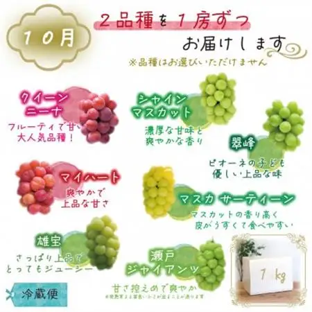 【発送月固定定期便】岡山　花笑み農園のブドウ食べ比べ　全4種全2回【配送不可地域：離島】【4083154】