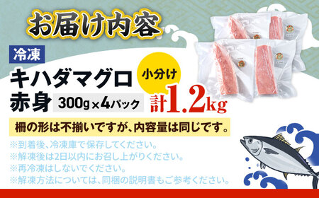 冷凍キハダマグロ 1.2kg (300g×4パック) マグロ まぐろ 小分け 冷凍 刺身 赤身 沖縄市 / 沖縄市漁業協同組合 パヤオ直売店[BCDZ007]