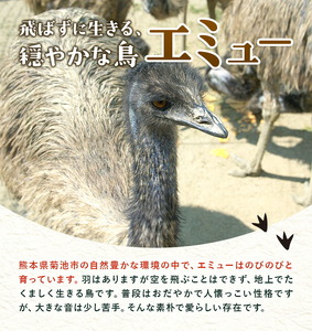 エミューストラップ 全長約20cm ストラップ付き 熊本県菊池エミュー観光牧場株式会社 《30日以内に出荷予定(土日祝除く)》 熊本県 菊池市 エミュー ストラップ 縁結び 幸運の羽 羽根 菊池市 熊本県 送料無料