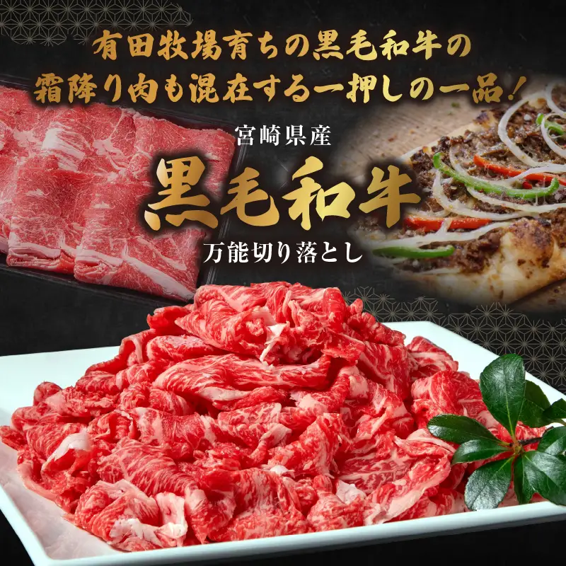 和牛おまかせ万能切落し700g|黒毛和牛 和牛 国産牛 牛肉 切り落とし 切落し 切り落し 霜降り 霜降り肉 赤身 混在 おまかせ肉 万能肉 家庭用 大容量 700g 小分け 350g 冷凍 有田牧場 エモ―牛 生産者直送 ブランド牛 受賞牛 品評会受賞 ワールドステーキチャレンジ 生産者部門 最優秀賞 宮崎県 高千穂町 ふるさと納税 返礼品|_Tk055-001