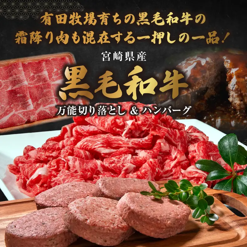 宮崎牛入有田ハンバーグ150g×5個と万能切落し500g |宮崎牛 和牛 黒毛和牛 国産牛 牛肉 ハンバーグ 牛100％ ハンバーグステーキ 切り落とし 切落し 万能切落し 霜降り 赤身 混在 有田牧畜 エモ―牛 ハンバーグセット セット商品 詰め合わせ 家族向け 家庭用 夕食 冷凍 小分け 500g 150g 食べ比べ 人気 TV紹介 ふるさと納税 返礼品 宮崎県 高千穂町|_Tk055-002