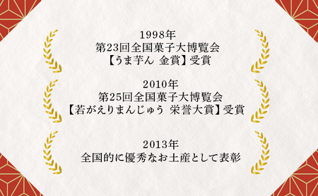 おまもり柿泉榮堂 干し柿×つぶ餡 おまもり柿【10個入】