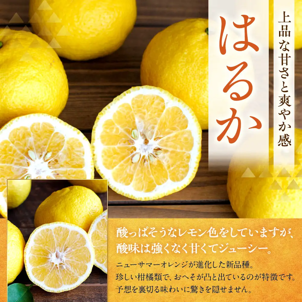 訳あり はるか 4.5kg M～2Lサイズおまかせ 高石垣ファーム