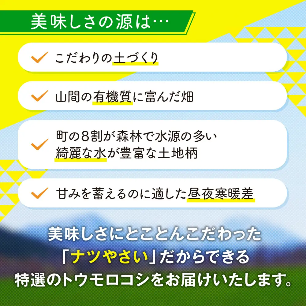 【先行受付】R8年産 トウモロコシ（ゴールドラッシュ） 10本から12本 ピンクの八百屋 ナツやさい | とうもろこし トウモロコシ ゴールドラッシュ 旬 新鮮 野菜 夏 甘い 産地直送 北海道 津別町 送料無料 