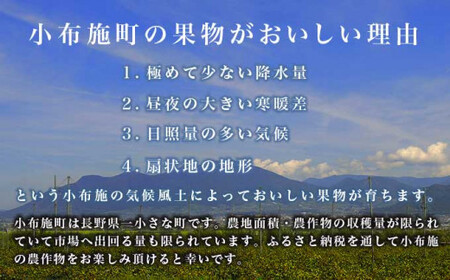 先行受付【訳あり】ピオーネ 約1kg 2～3房 2026年9月中旬～10月下旬発送予定［新規就農者応援コース 幸作会］果物 フルーツ ぶどう 不揃い 規格外 定長野県産 信州産 冷蔵便 小布施町［K-519］