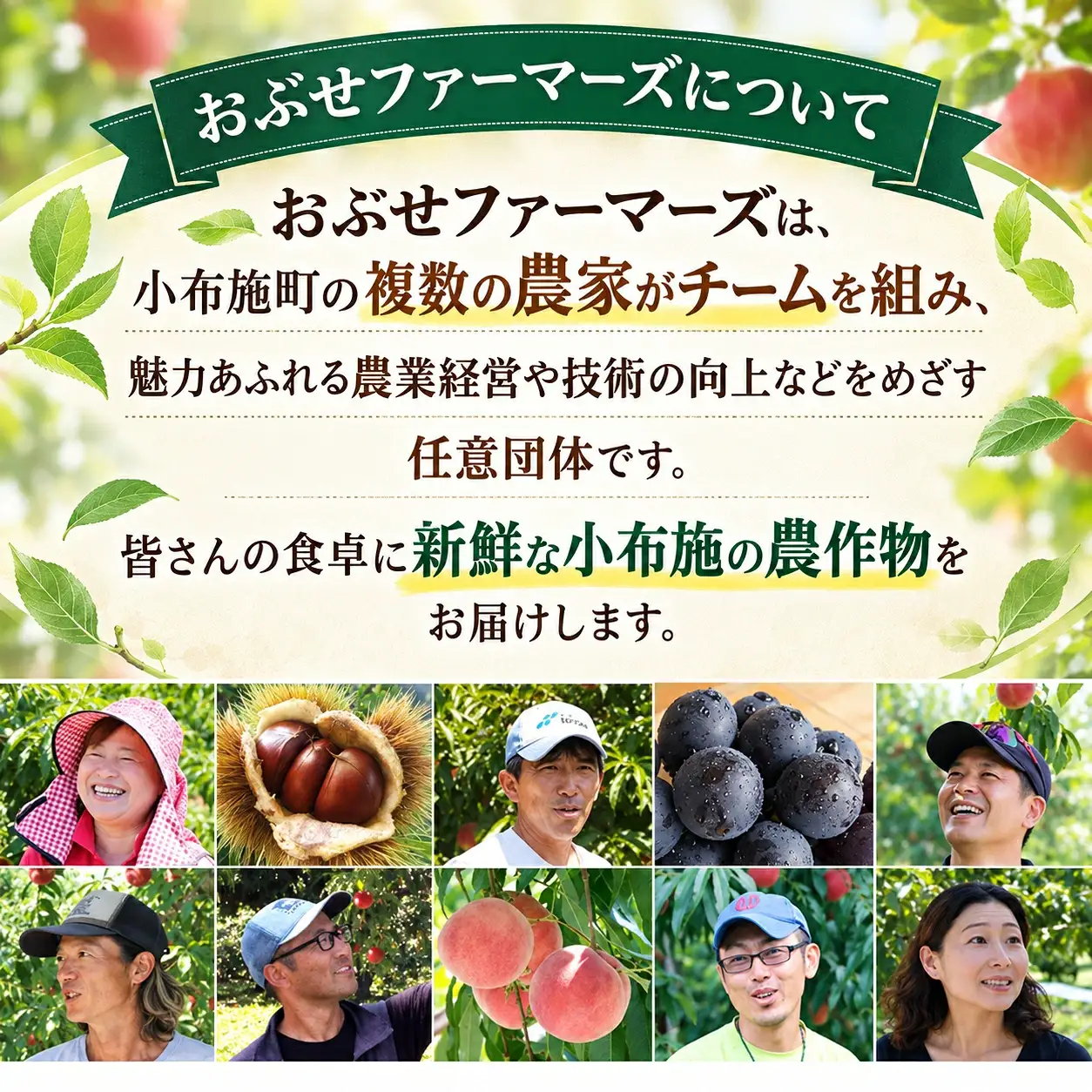 熟成小布施栗 4L以上限定 約1kg ［おぶせファーマーズ］生栗 くり 長野県産 信州産 令和8年産 【2026年11月上旬～12月中旬発送】[F-70]