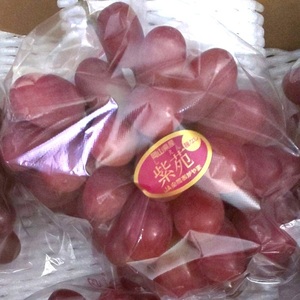 ぶどう岡山県産 紫苑 1房(約500g)   岡山県産 ぶどう