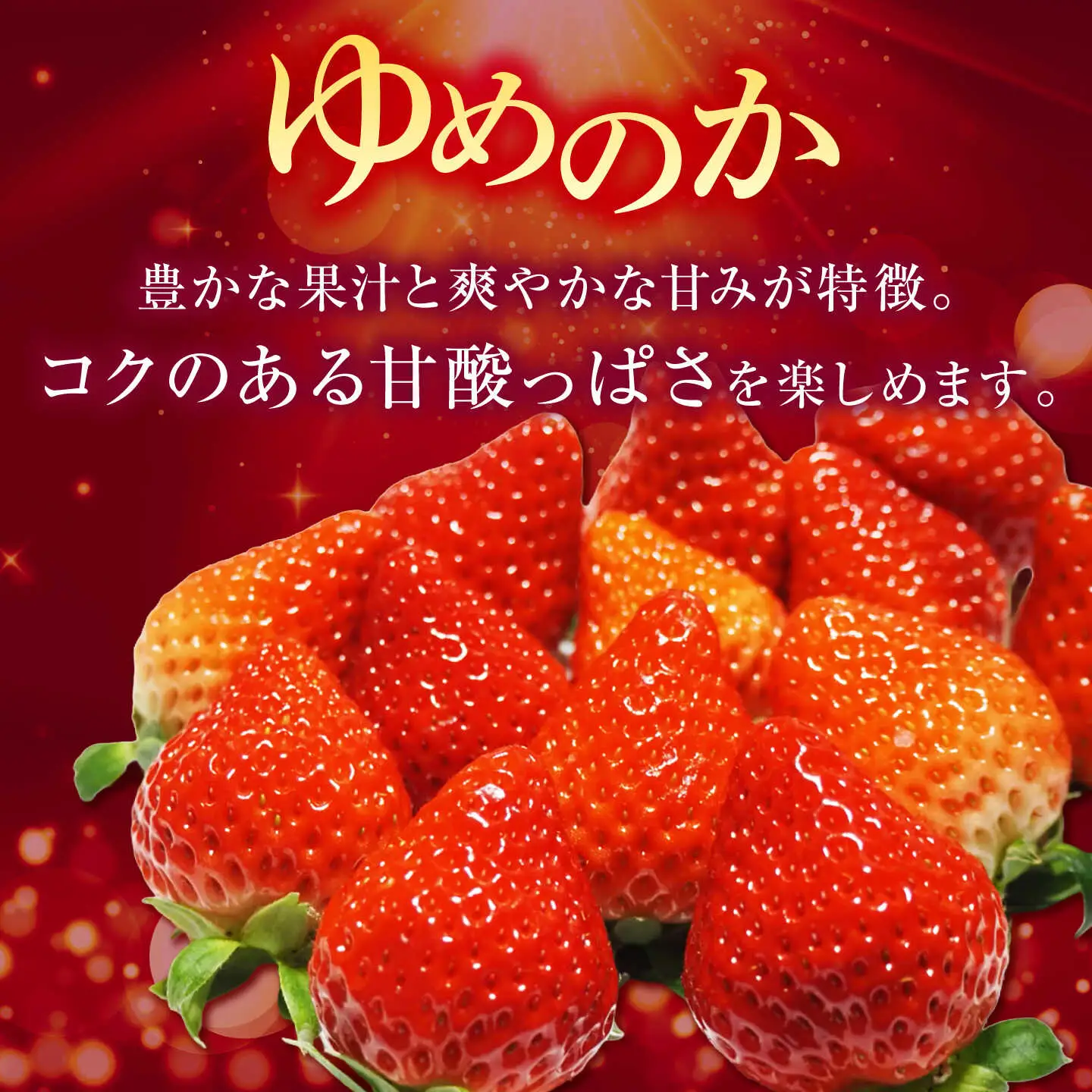 【先行予約】【ジャム用】ゆめのか 1kg 【2027年1月以降順次発送】[JEM007] いちご 苺