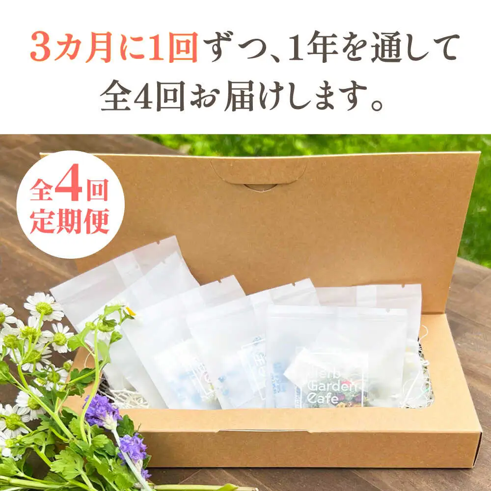 【全4回定期便】壱岐島の四季折々の恵み「旬摘みフラワーティー」アソート6パック《壱岐市》【Island Kiss Innocent】[JGJ004]