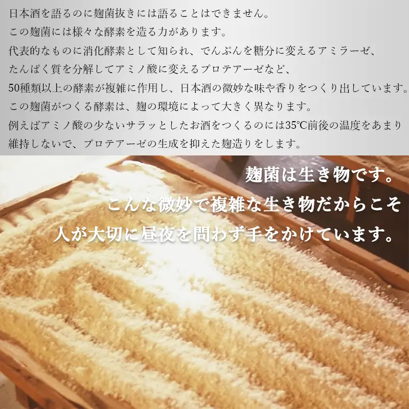 長期の眠りから目覚めた熟成焼酎（甲類）オールド初エビス25度720ml