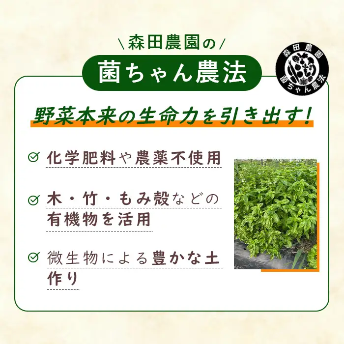 露地野菜 セット 【6～9品】 菌ちゃん農法 旬 化学肥料・農薬不使用 ／ 野菜セット 旬野菜セット 無農薬野菜 野菜詰め合わせ 農薬不使用野菜 露地野菜 国産野菜 産地直送 野菜宅配 季節野菜 料理好き 食材セット オーガニック野菜 健康野菜 新鮮野菜 愛知県 No.540