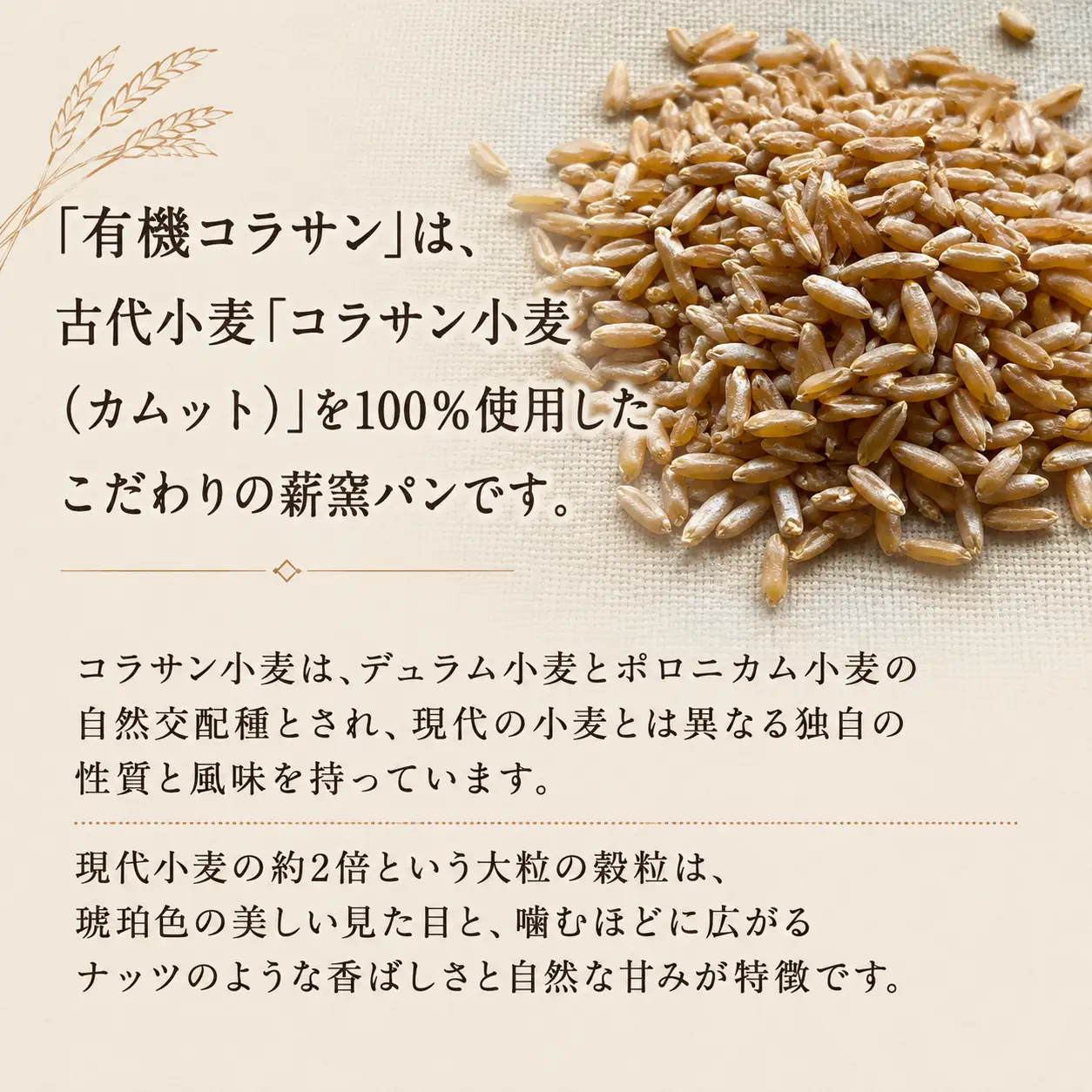 薪窯パン 有機古代小麦を使用したこだわりパン 3種各1個 食べ比べ 有機古代小麦セレクションB 【 農家パン VERUM 】	