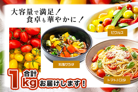 岩永さんちの カラフル ミニトマト | アイコ赤･黄MIX 1kg |【農林水産大臣賞受賞】有機肥料・化学肥料不使用 | 生産者直送 野菜 トマト 1kg とまと プチトマト サラダ やさい 旬 新鮮 おやつ お弁当 人気 佐賀県 鹿島市 B-893