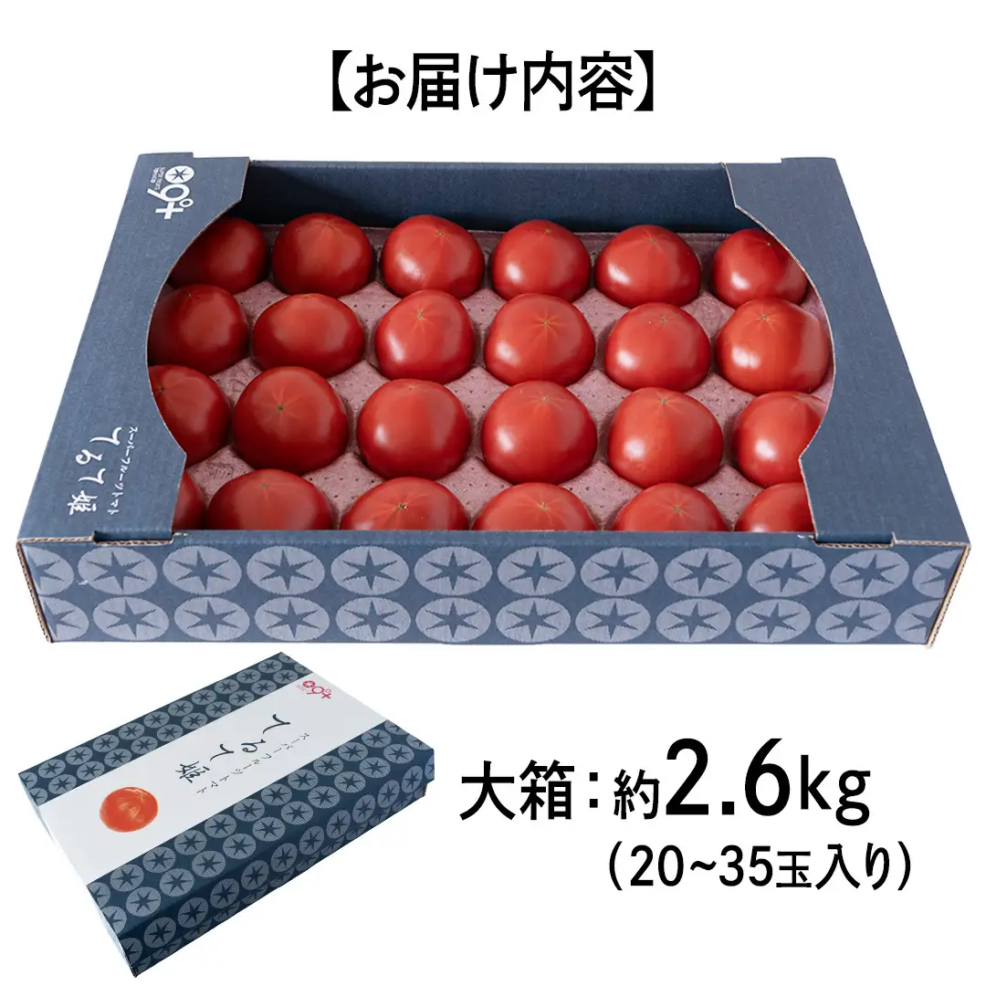 【母の日専用】 スーパーフルーツトマト てるて姫 大箱 約2.6kg ×1箱 糖度9度以上 《5月3日～9日お届け メッセージカード付》
