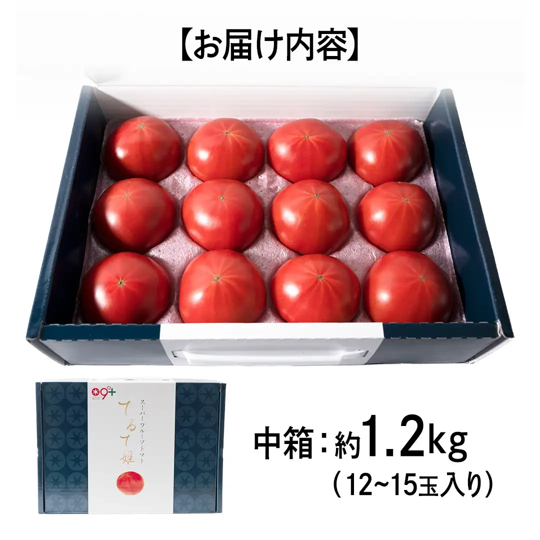 【母の日専用】 スーパーフルーツトマト てるて姫 中箱 約1.2kg ×1箱 糖度9度以上 《5月3日～9日お届け メッセージカード付》
