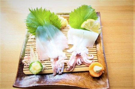 白イカ 6パック イカ