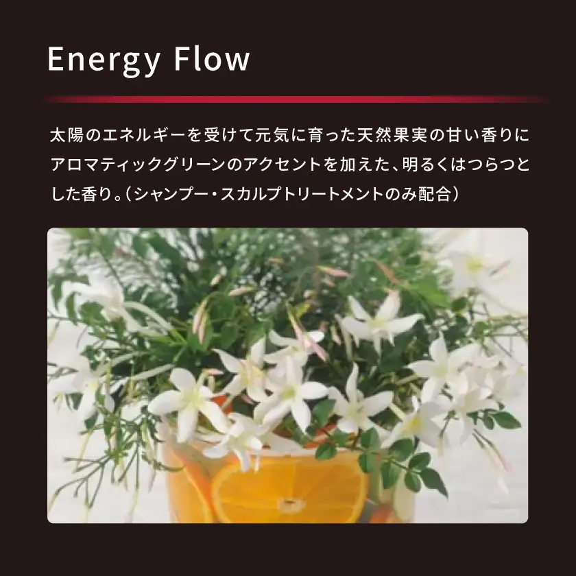 アデノバイタル シャンプー 1000mL　2個【1716007】