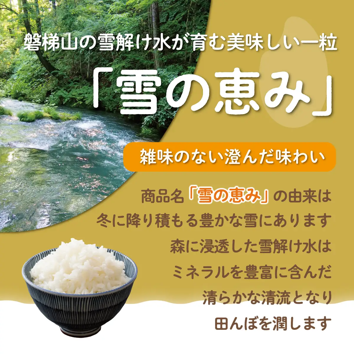 【10月中旬以降発送/令和8年産 新米】【6カ月定期便】【福島会津産】雪の恵み米こしひかり5kg×6回 KBAJ003