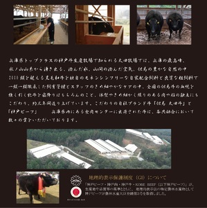 KGY1ｰ2 神戸牛 訳あり 焼肉用（部位おまかせ）800g | 肉 牛肉 神戸牛 焼肉 かた もも ばら グルメ 兵庫県 上郡町