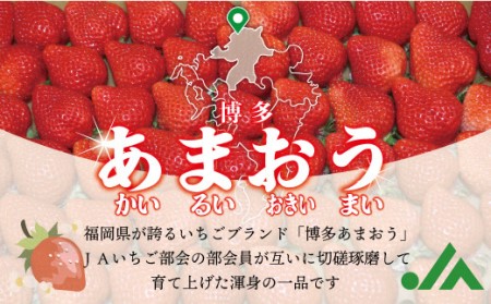 冷凍「博多あまおう」800g×5袋　計4kg[H4004]