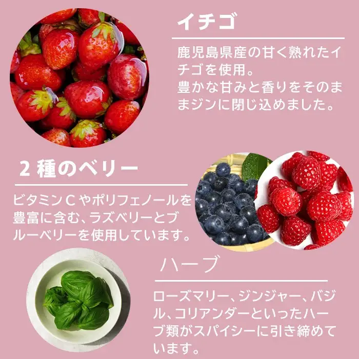 No.359-F 国産クラフトジン KOMASA GIN(45％) 苺-Color-Edition(500ml×2本・計1000ml) 酒 スピリッツ 焼酎 クラフトジン 柑橘 お茶 常温 常温配送 常温保存 【小正醸造】