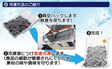 急速冷凍！栽培期間中農薬不使用ブルーベリー600g×2パック　計1.2kg[H4005]