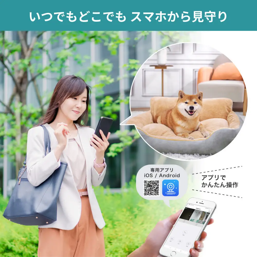 屋内用カメラ TBC-IP300