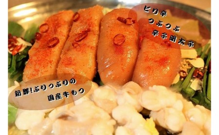 【六蔵】博多明太もつ鍋セット(2-3人前)[H4361]