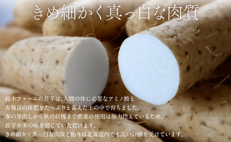 長芋 5kg ABBX002
