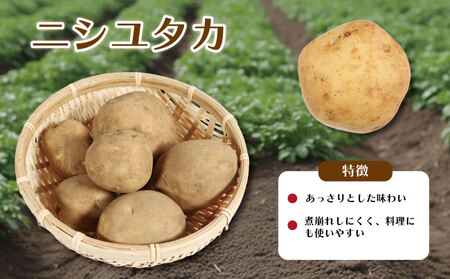 先行予約 じゃがいも 約5kg ニシユタカ デストロイヤー 【12月初旬~4月中旬頃発送予定】 じゃがいも