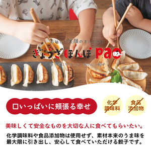 【3か月定期便】paoの無添加中華惣菜セットM 4点セット (合計1.7kg)  全3回お届け お惣菜 中華料理 ギョーザ シューマイ ぎょうざ しゅうまい 肉餃子 野菜餃子 焼売 ワンタン 夕飯 一品料理 おかず 詰め合わせ 化学調味不使用 食品添加物不使用 058015