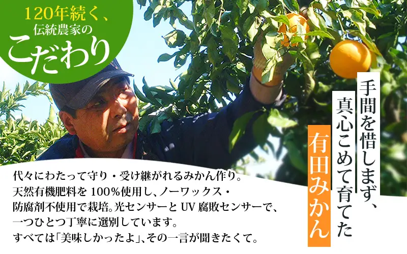 有田みかん 約5kg＋150g(傷み補償分) 【ご家庭用】 みかん【nuk160-10】