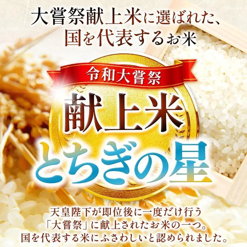 【定期便3回】パックごはん とちぎの星 栃木県矢板市産 お米 100％ 150g×20個