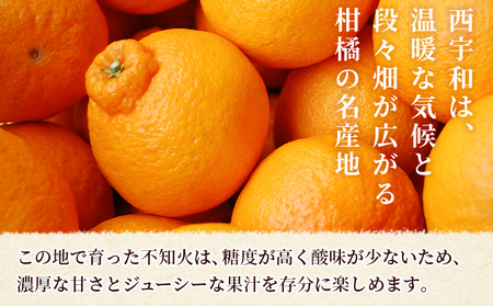 ＜秀品 不知火 (L～2Lサイズ) 約5kg＞愛媛 蜜柑 ミカン みかん 果物 フルーツ 柑橘 国産 秀品 ギフト 贈答用 しらぬひ しらぬい シラヌイ 不知火 愛媛県産 西予市産 西宇和 特産品 丸二青果 愛媛県 西予市【常温】『2026年2月～4月中旬頃までに順次出荷予定』 MMY0016
