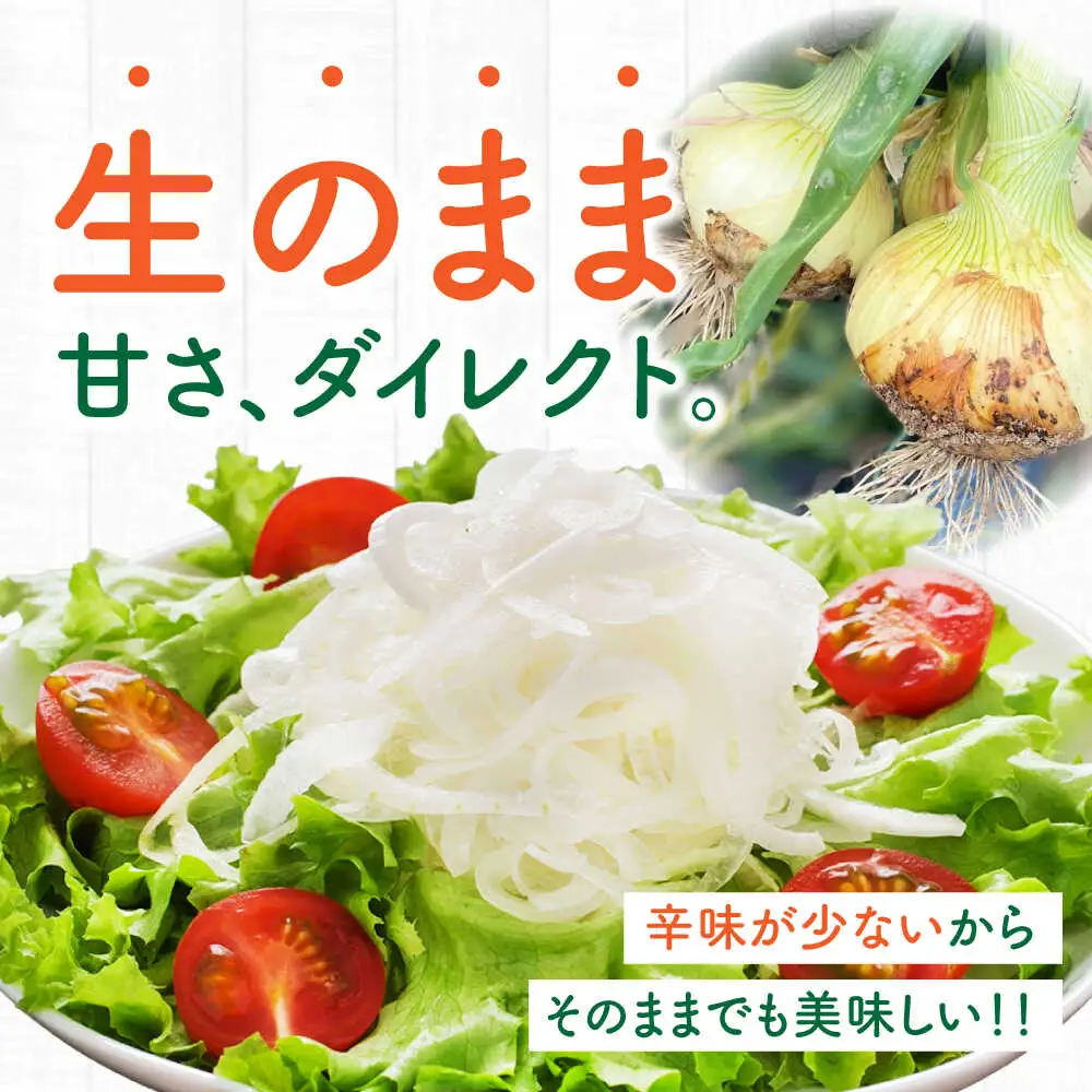 【2027年3月-発送】たまねぎ 5kg / タマネギ 玉葱 玉ねぎ 野菜 やさい カレー シチュー バーベキュー スープ サラダ / 南島原市 / 城谷農園[SGV001]