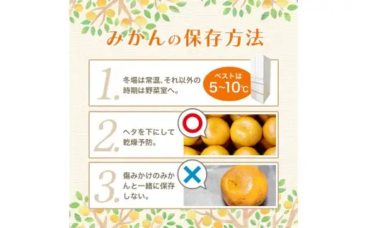 【2026年10月発送予約分】＼光センサー選別／農家直送 こだわりの完熟有田みかん 約10kg＋150g(傷み補償分) 【ご家庭用】 【10月発送】有機質肥料100% 有田みかん みかん ミカン 蜜柑 柑橘 果物 フルーツ 甘い 温州みかん 先行予約 【nuk101-10】