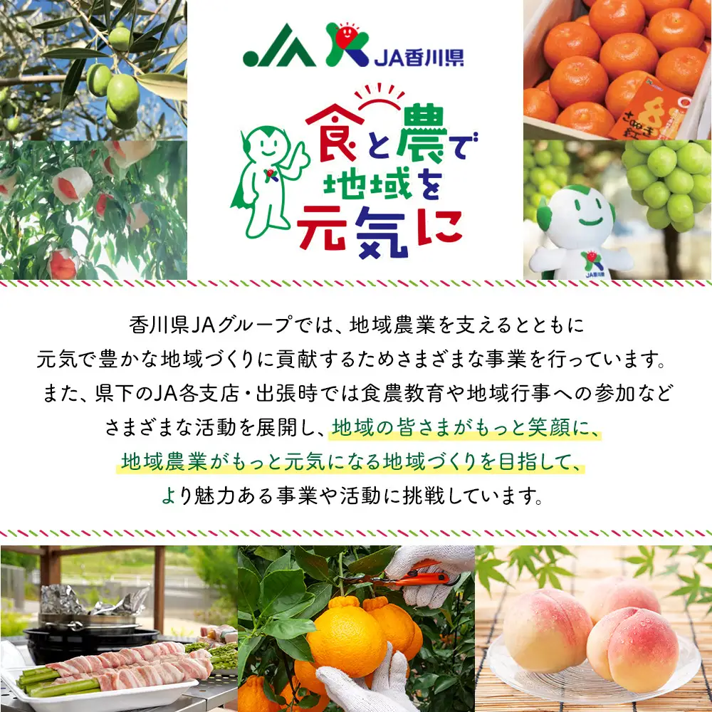 SANUKIFROZEN 璃の香 500g×4袋