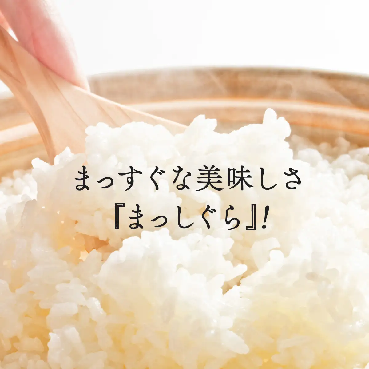 【令和8年産・先行予約】青森県産まっしぐら精米　10kg　【02402-0463】